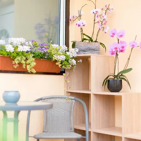 Bed & Breakfast Ferienwohnungen Und Zimmer Yassi