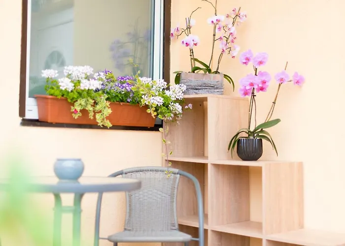 Bed & Breakfast Ferienwohnungen Und Zimmer Yassi